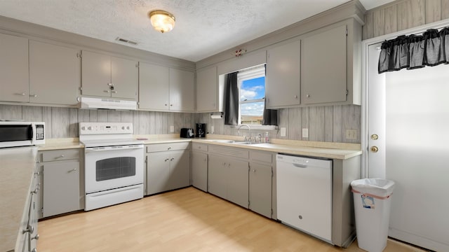 kitchen featuring gray cabinets, sink, light hardwood / wood-style flooring, and white appliances