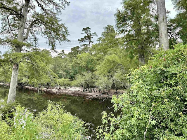 11 Gulley Ln, Salters, SC 29590