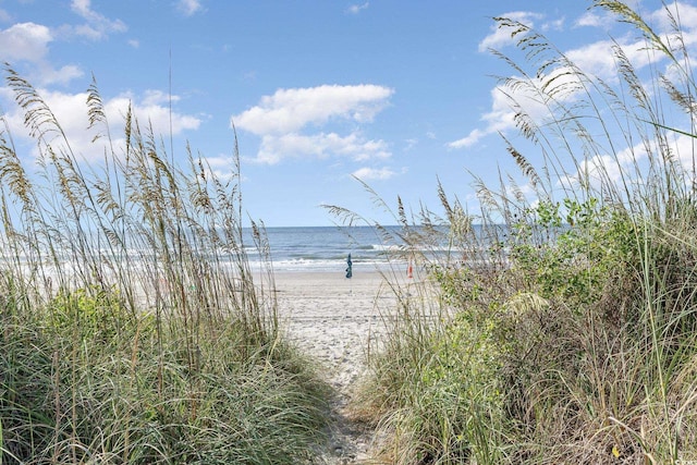 water view featuring a beach view