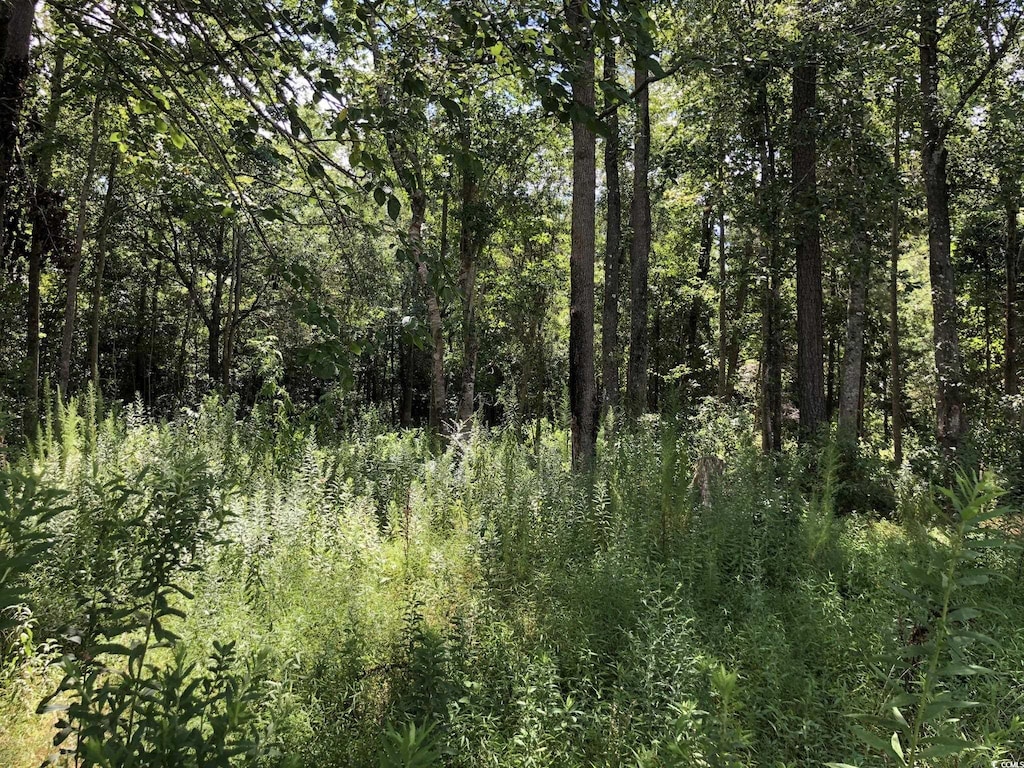 6135LOT2 Red Bluff Rd, Loris, SC 29569 - photo 1