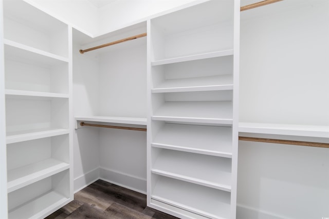 spacious closet featuring dark hardwood / wood-style floors