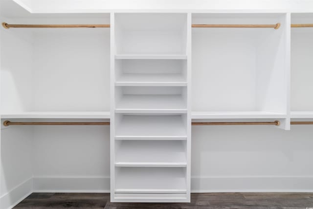 walk in closet featuring wood-type flooring