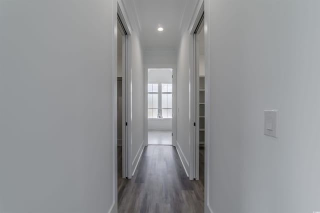 hall featuring dark hardwood / wood-style flooring