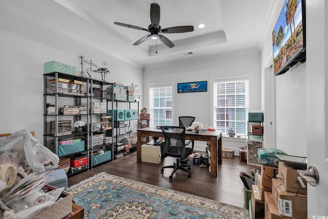 office area featuring dark hardwood / wood-style floors, ornamental molding, a raised ceiling, and ceiling fan