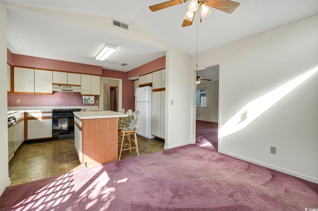 213 Birkdale Ln, Myrtle Beach, SC 29588 - kitchen with electric range, freestanding refrigerator, ceiling fan, under cabinet range hood, and vaulted ceiling