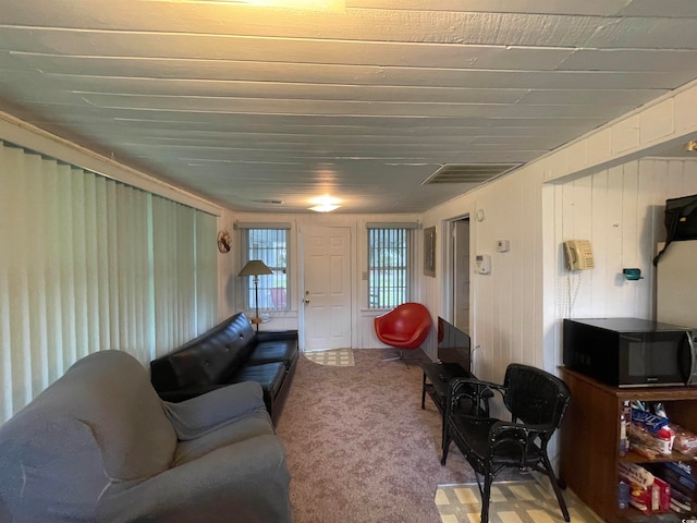 living room with carpet