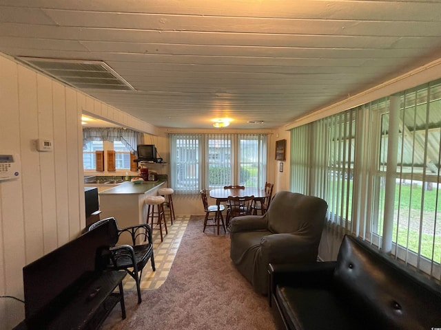 carpeted living room featuring a healthy amount of sunlight