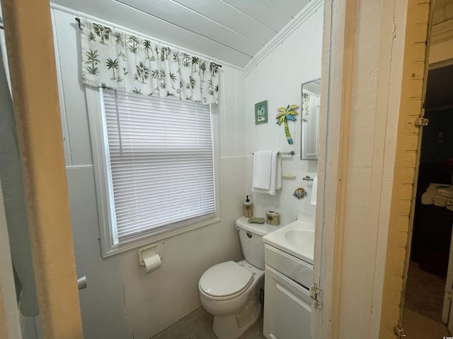 bathroom featuring vanity, lofted ceiling, and toilet