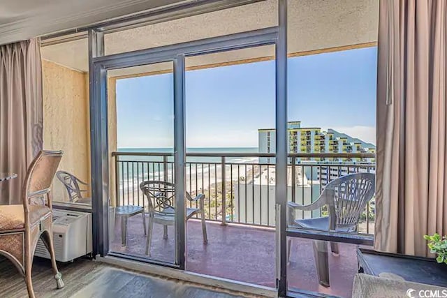 doorway featuring a water view, hardwood / wood-style flooring, and a healthy amount of sunlight