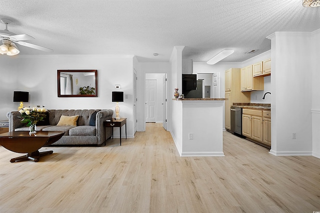 kitchen featuring cream cabinetry, light hardwood / wood-style floors, and a textured ceiling