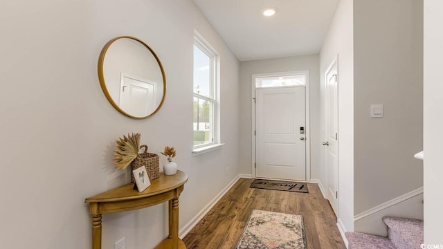 entryway featuring wood-type flooring