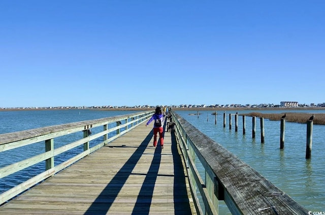 dock area with a water view