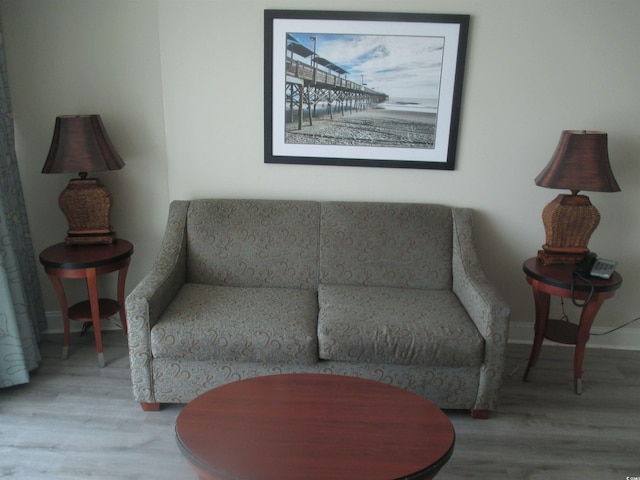 living area featuring hardwood / wood-style flooring