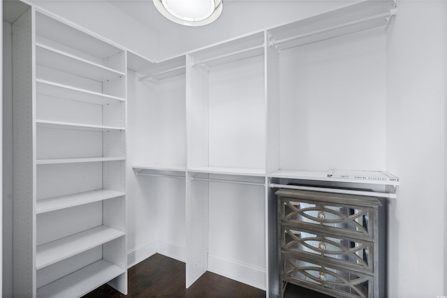 spacious closet with dark wood-style floors
