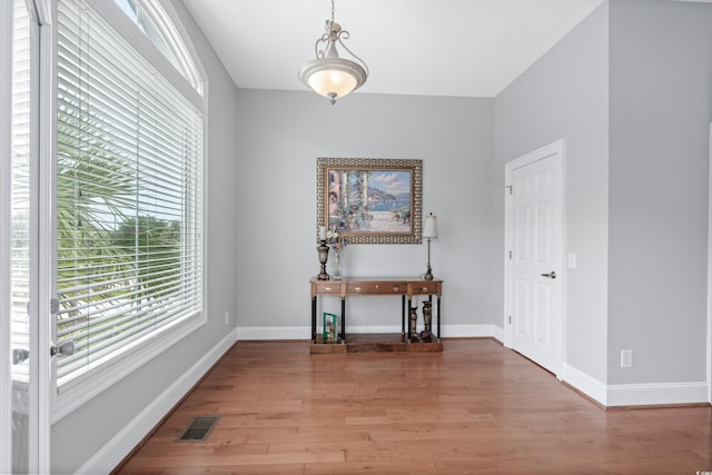 interior space with hardwood / wood-style floors