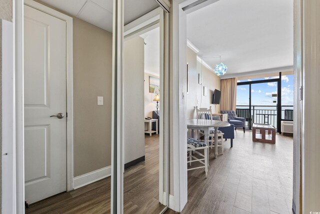 hallway with expansive windows and wood-type flooring