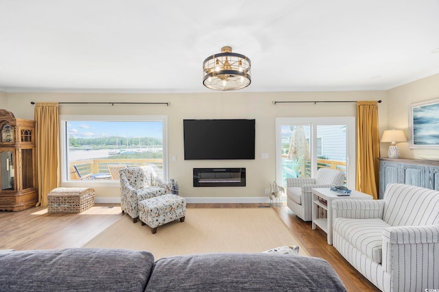 living room featuring hardwood / wood-style flooring and plenty of natural light