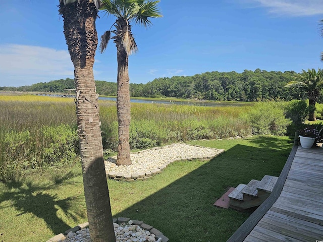 view of yard featuring a water view