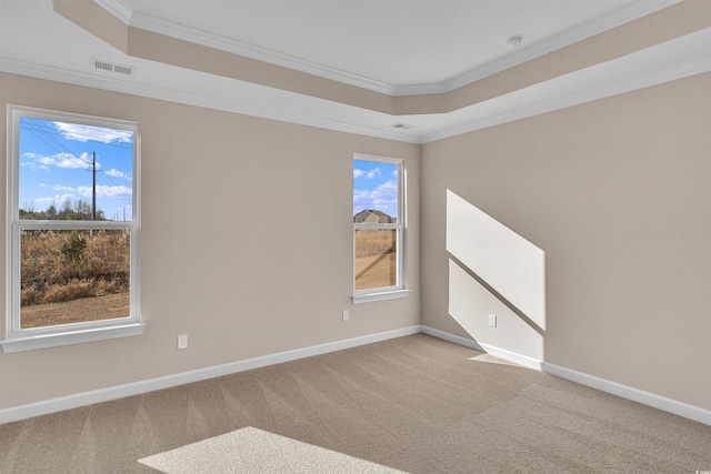 spare room featuring a tray ceiling, light carpet, and ornamental molding