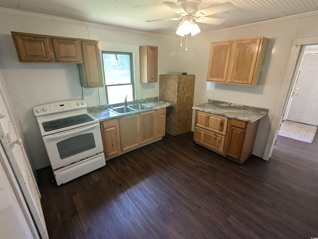 kitchen with dark wood finished floors, ornamental molding, light countertops, white electric range, and a sink