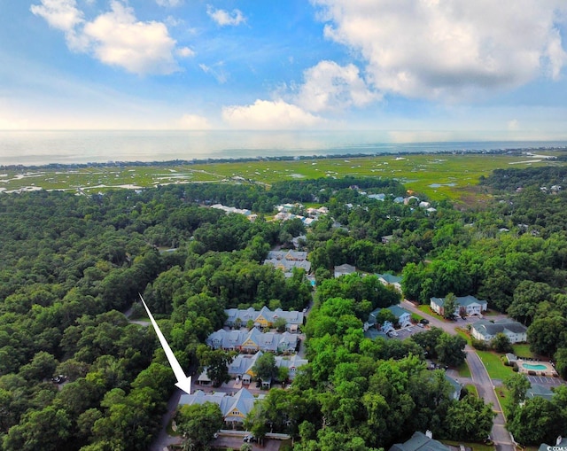 bird's eye view