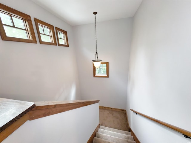 stairs with carpet flooring