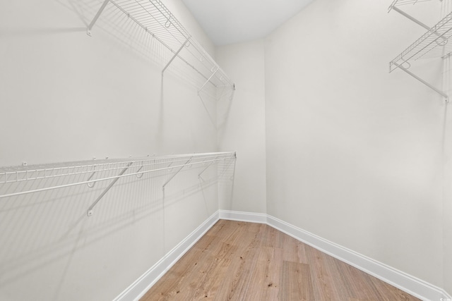 spacious closet featuring light wood-style floors