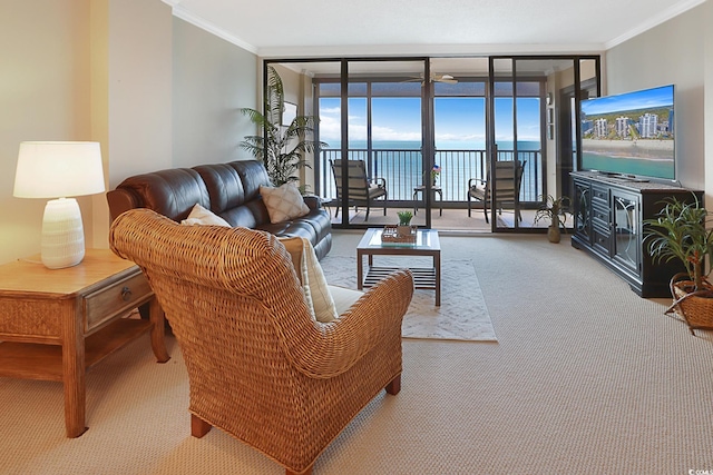 carpeted living room with expansive windows and ornamental molding