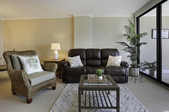 living room featuring a textured ceiling, light colored carpet, expansive windows, and ornamental molding