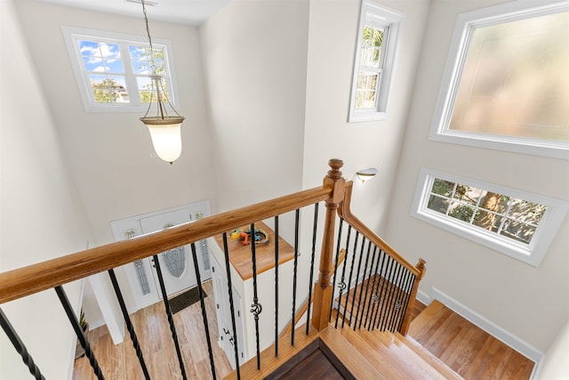 stairway with hardwood / wood-style flooring and a wealth of natural light