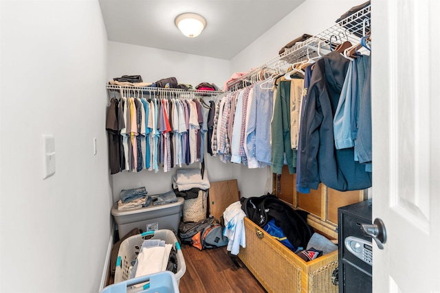 spacious closet featuring dark hardwood / wood-style floors