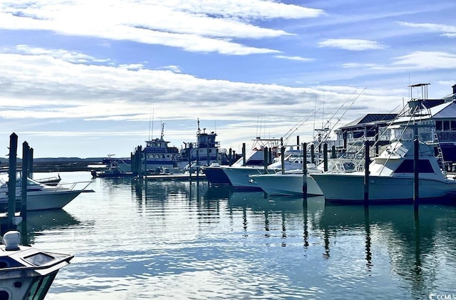 108 Hallandale Ln, Murrells Inlet, SC 29576 - dock area with a water view