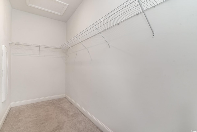 walk in closet with light carpet