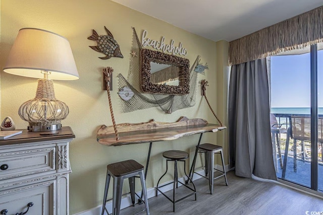 2311 Ocean Blvd S Unit 361, Myrtle Beach, SC 29577 - detailed view of wood finished floors and baseboards