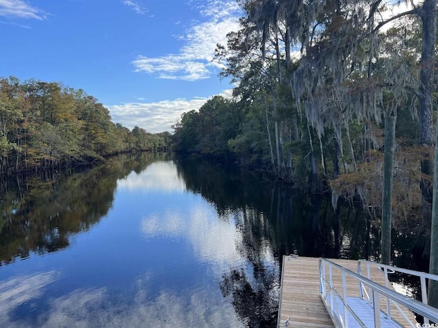 dock area featuring a water view