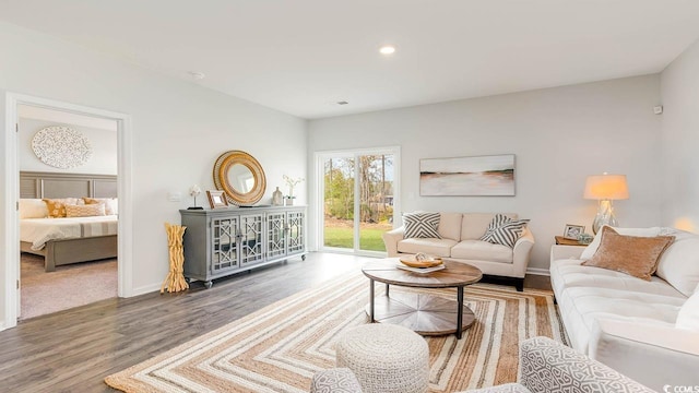 living room featuring wood-type flooring