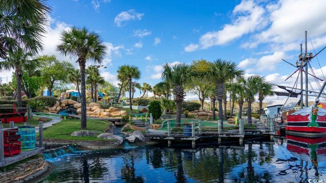 view of home's community with a boat dock