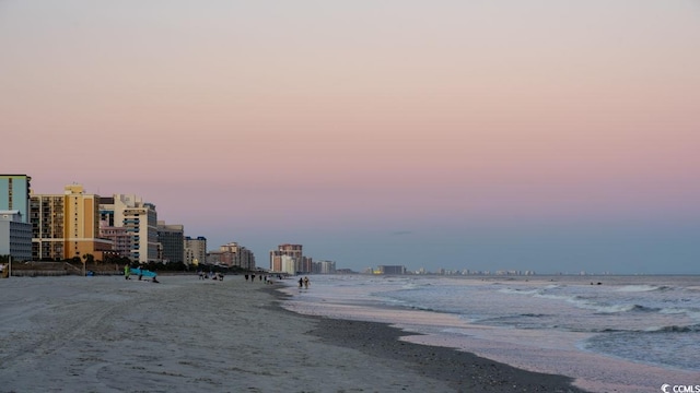 property view of water featuring a beach view