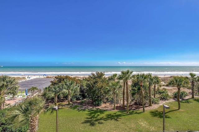 view of water feature featuring a view of the beach