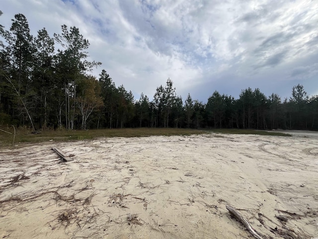 view of local wilderness