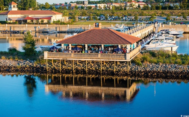 dock area with a water view