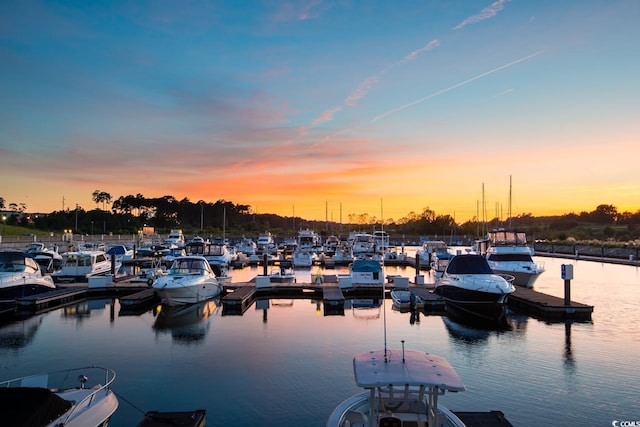 water view featuring a boat dock