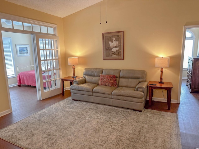 living room with wood-type flooring, a textured ceiling, and lofted ceiling