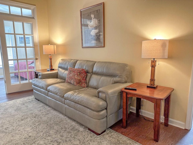 living room with wood-type flooring