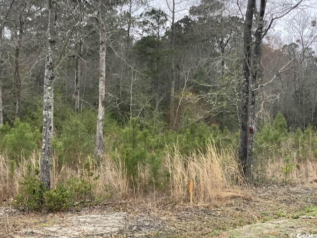 LOT1 Allsbrook Rd, Loris SC, 29569 land for sale