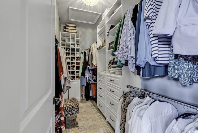 view of walk in closet