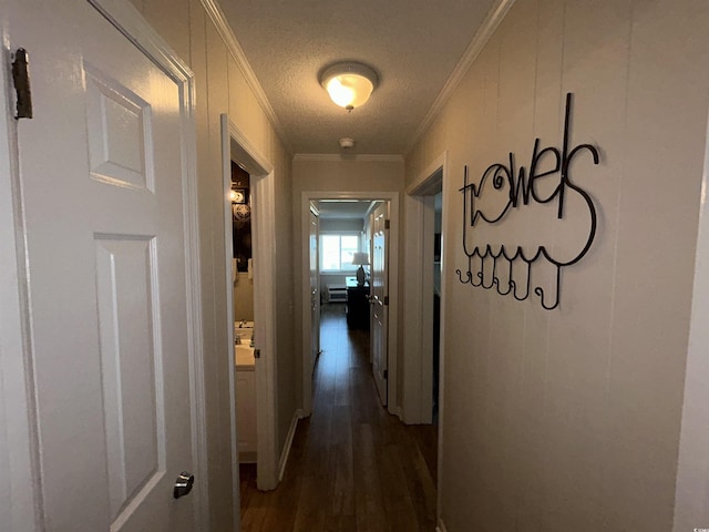 hallway featuring crown molding, dark hardwood / wood-style floors, and a textured ceiling