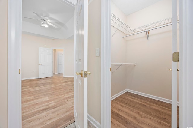 spacious closet featuring ceiling fan and light hardwood / wood-style floors