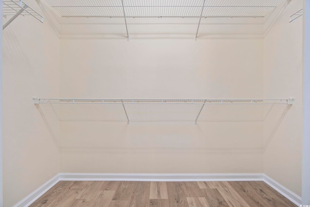 spacious closet featuring hardwood / wood-style flooring