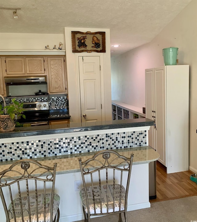 kitchen with a textured ceiling, light stone counters, stainless steel range with electric cooktop, and tasteful backsplash